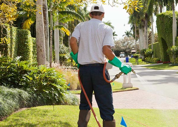 About Seminole FL Pest Control